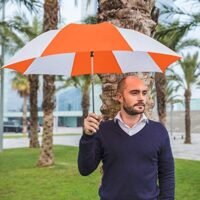 The Spectrum Popular Style 42" Automatic Open Windproof Travel Umbrella - Image 4